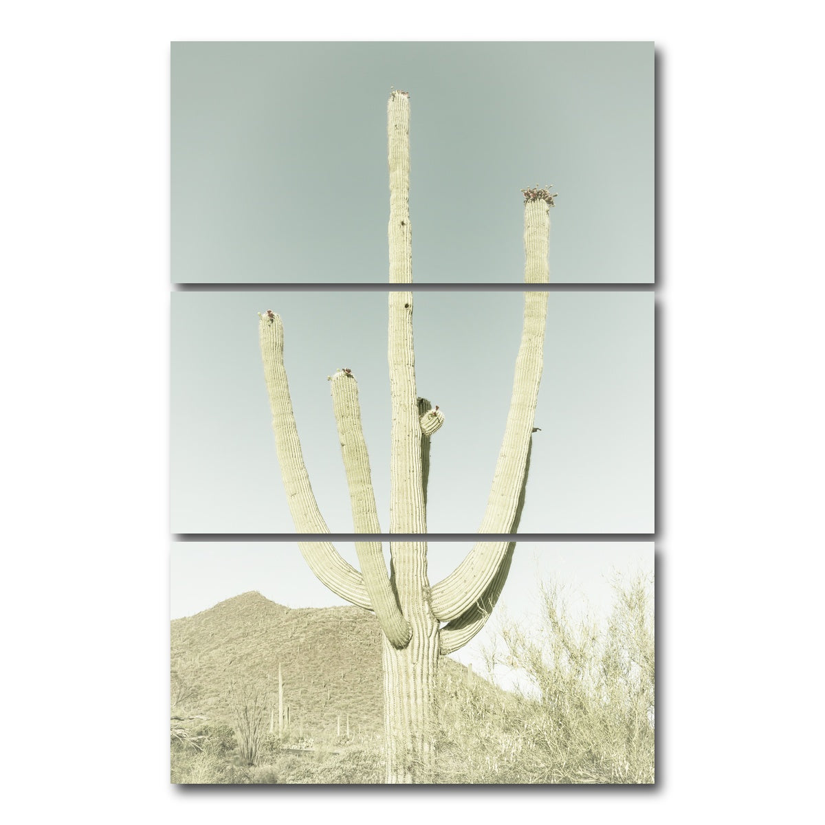 AUTO-MOCKUP WHITE | SAGUARO NATIONAL PARK Giant Saguaro | 3 Piece | Gallery Wrap Canvas | group=12x24_stacked