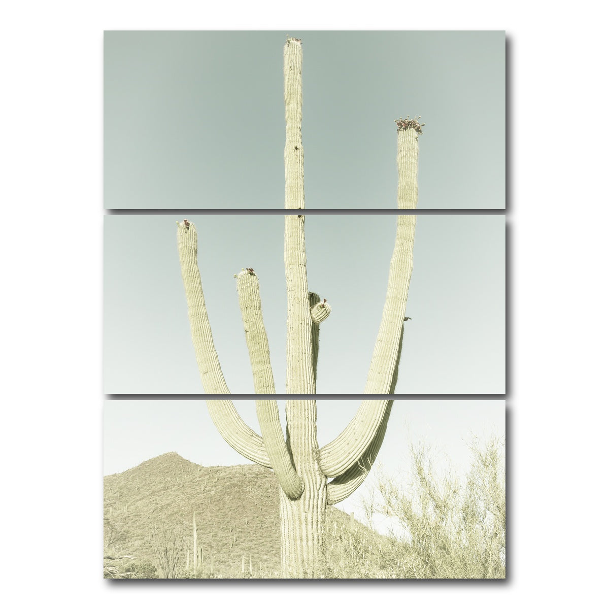 AUTO-MOCKUP WHITE | SAGUARO NATIONAL PARK Giant Saguaro | 3 Piece | Gallery Wrap Canvas | group=8x18_stacked
