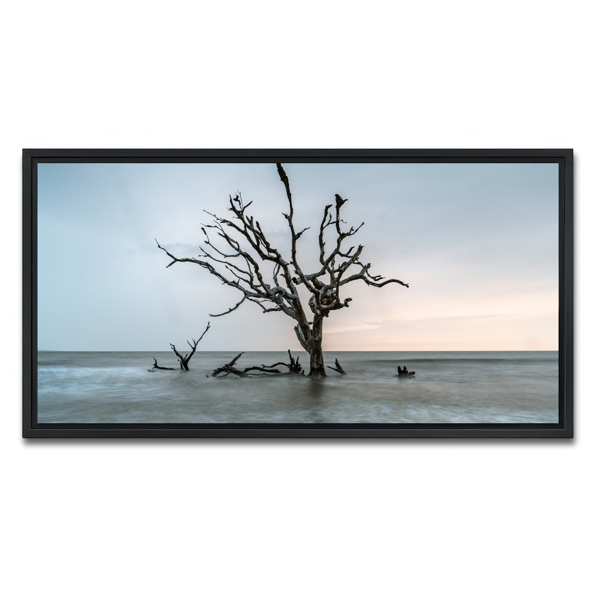 AUTO-MOCKUP WHITE | Salt Tree | 1 Piece | Black Framed Canvas | group=2x1