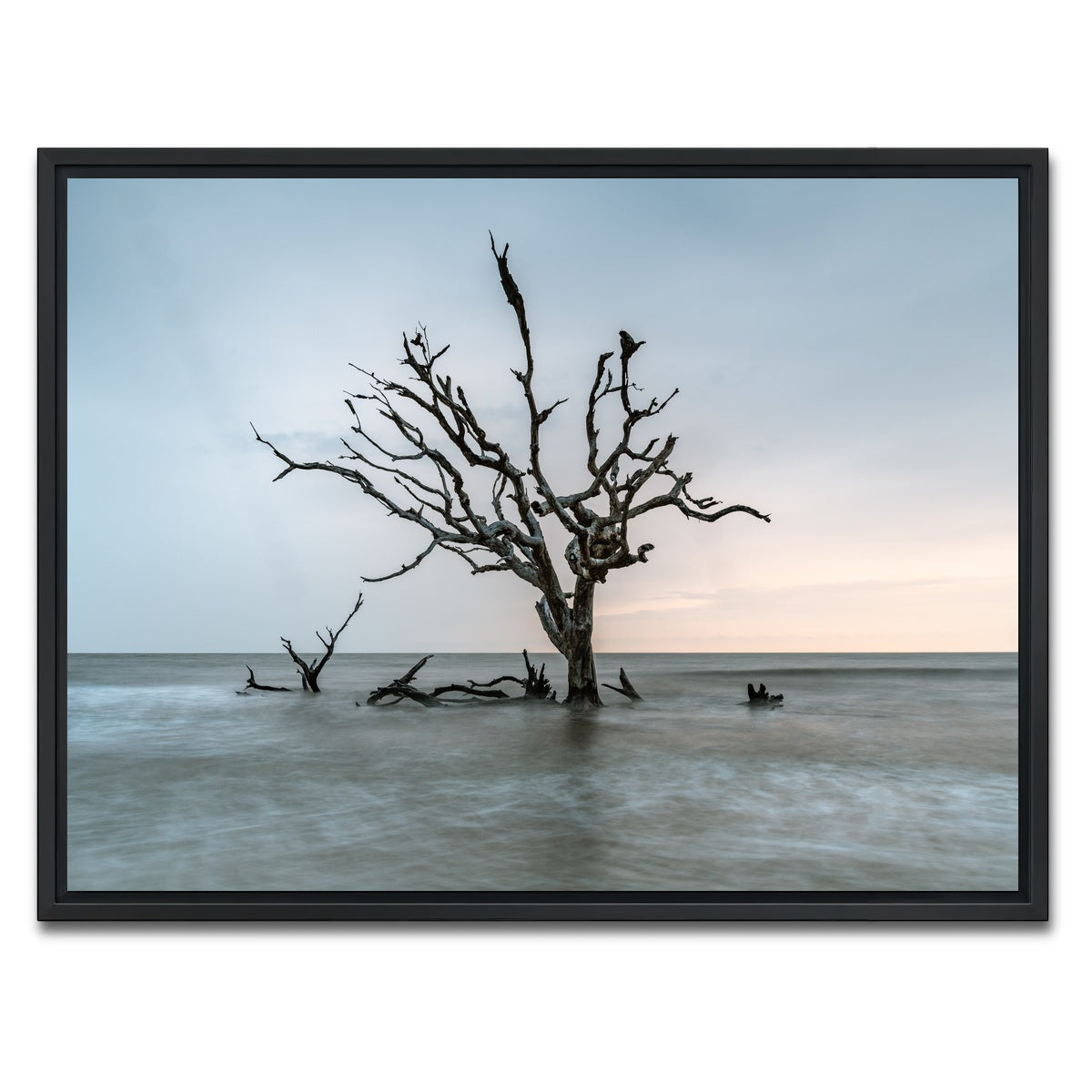 AUTO-MOCKUP WHITE | Salt Tree | 1 Piece | Black Framed Canvas | group=4x3