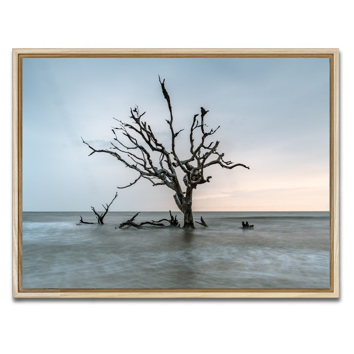 AUTO-MOCKUP WHITE | Salt Tree | 1 Piece | Natural Framed Canvas | group=4x3