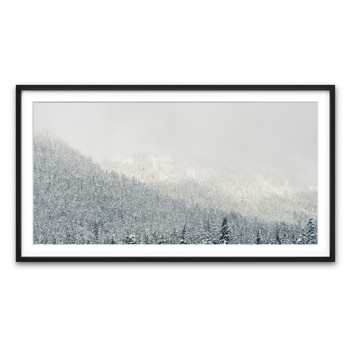 Framed Print 2x1 Black