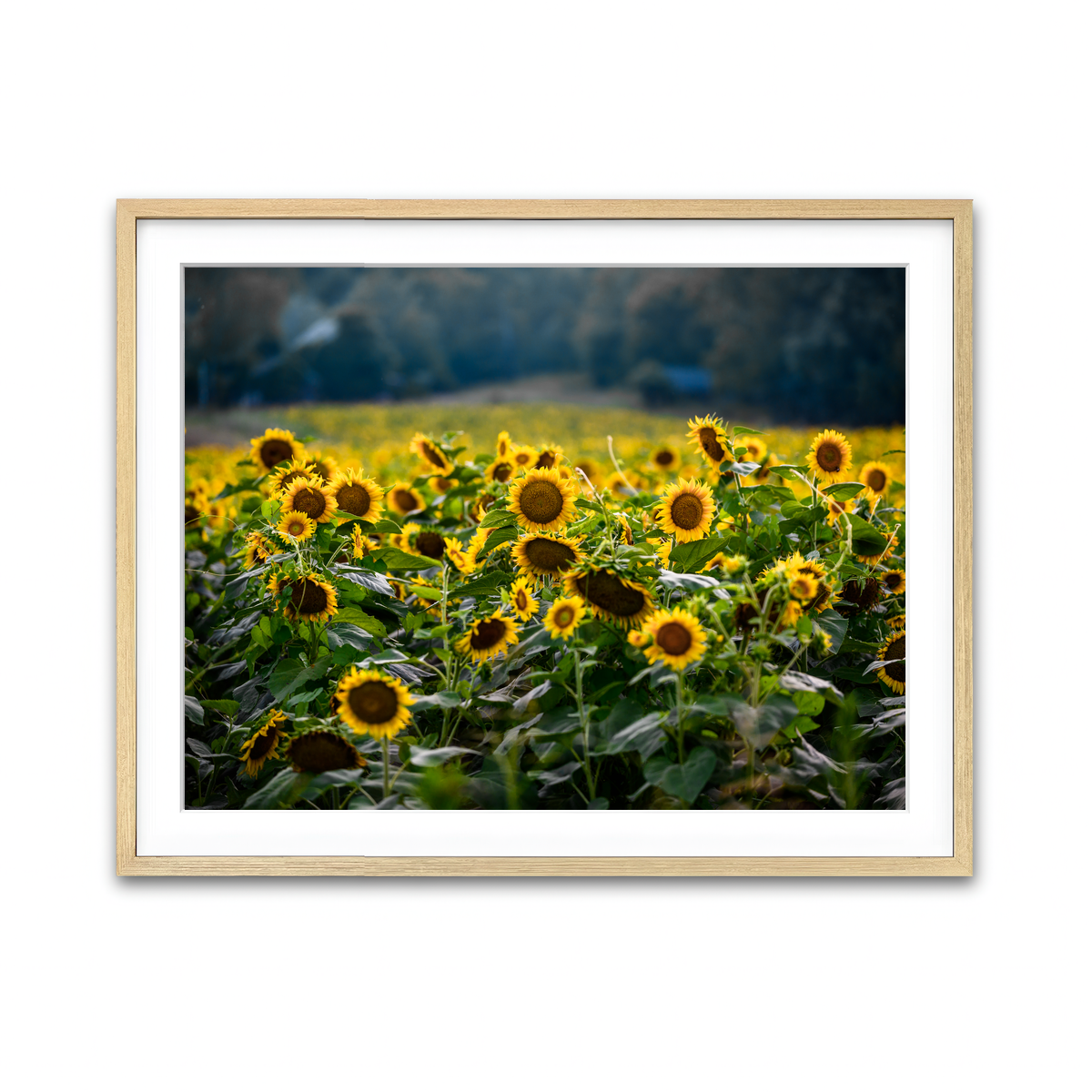 Framed Print 4x3 Natural