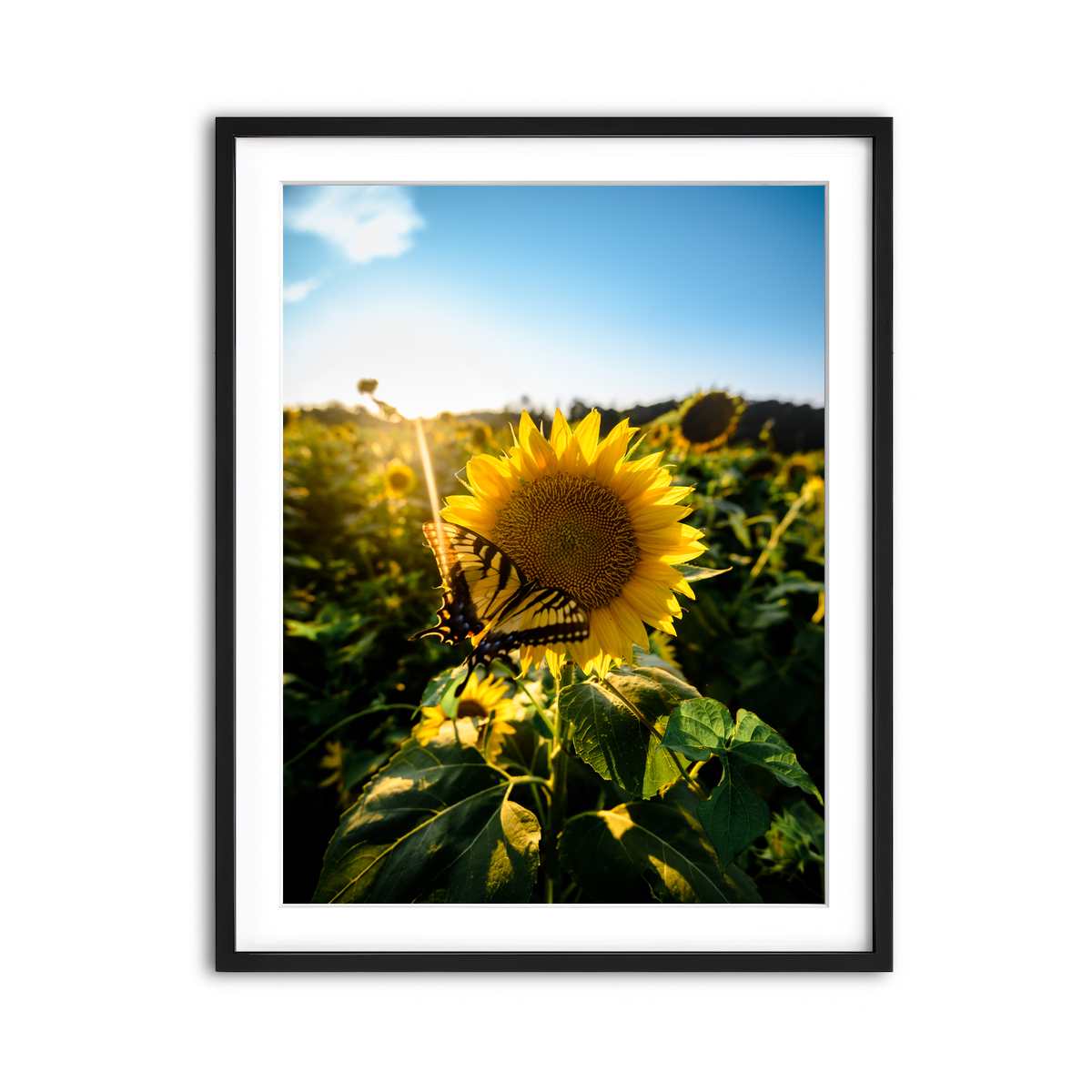 Framed Print 3x4 Black
