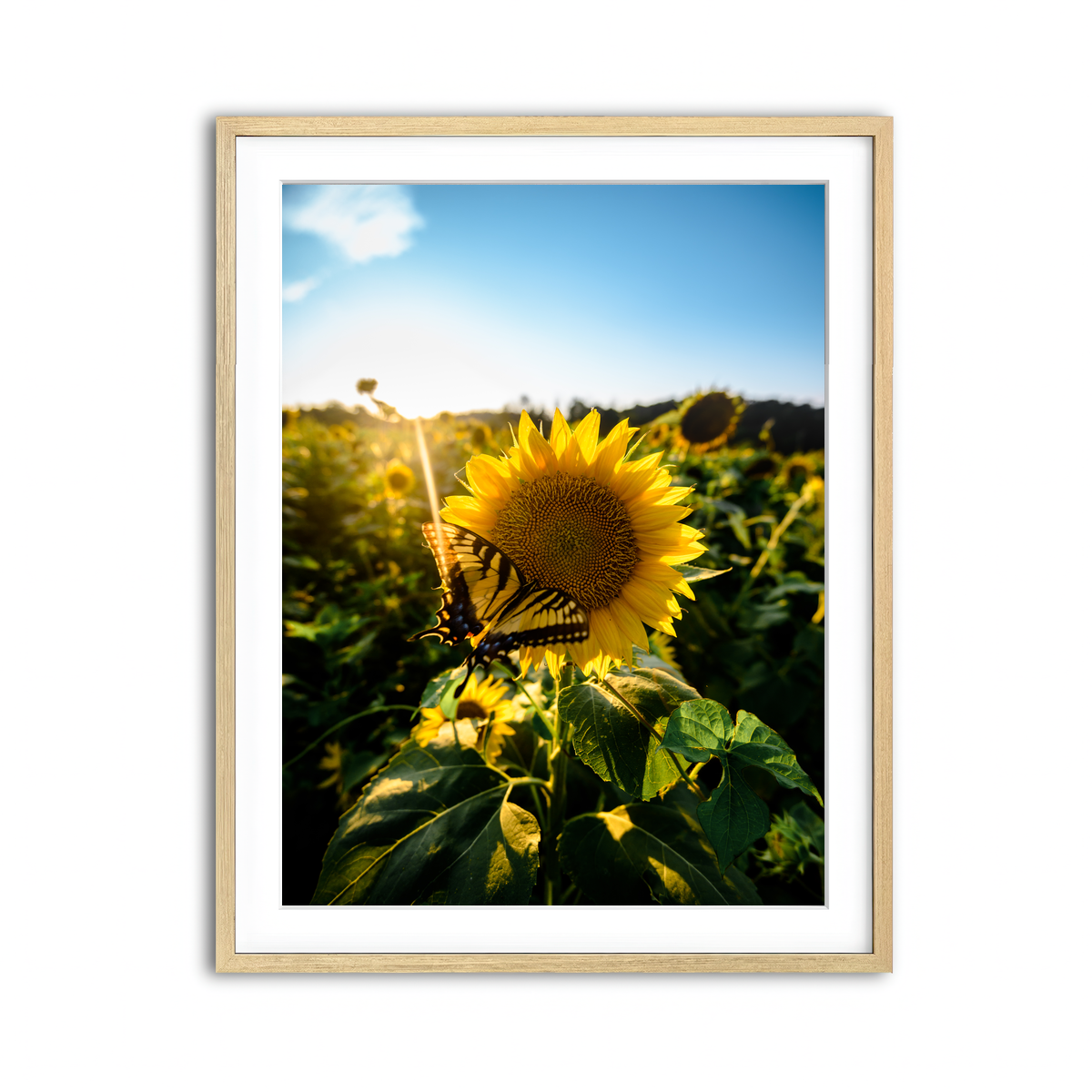 Framed Print 3x4 Natural