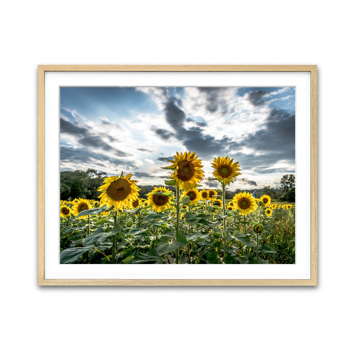 Framed Print 4x3 Natural