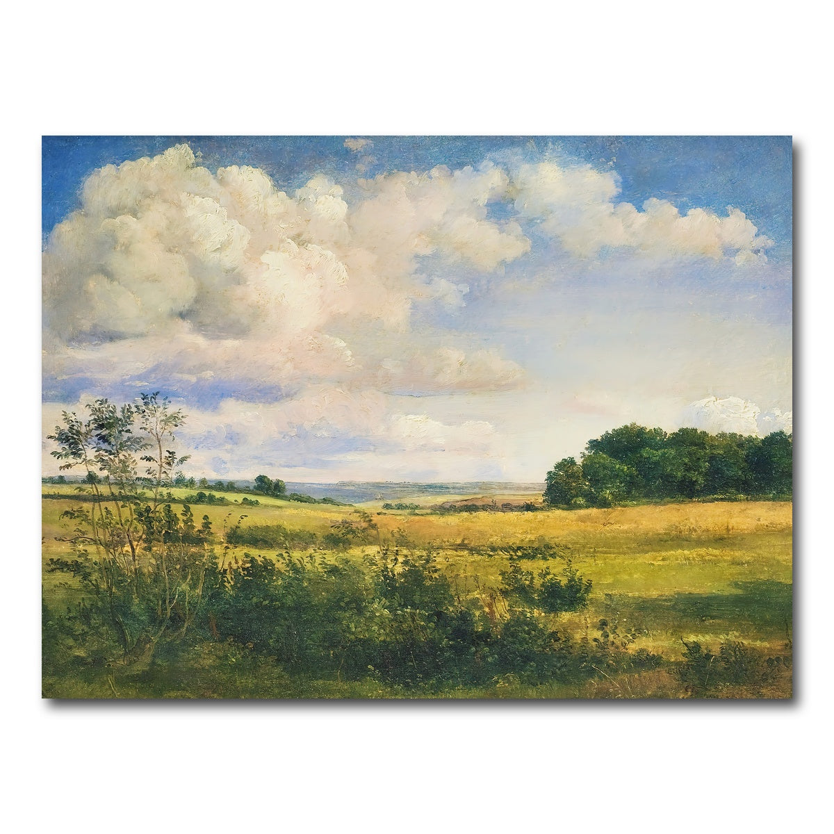 Sunlit Clouds Wall Art