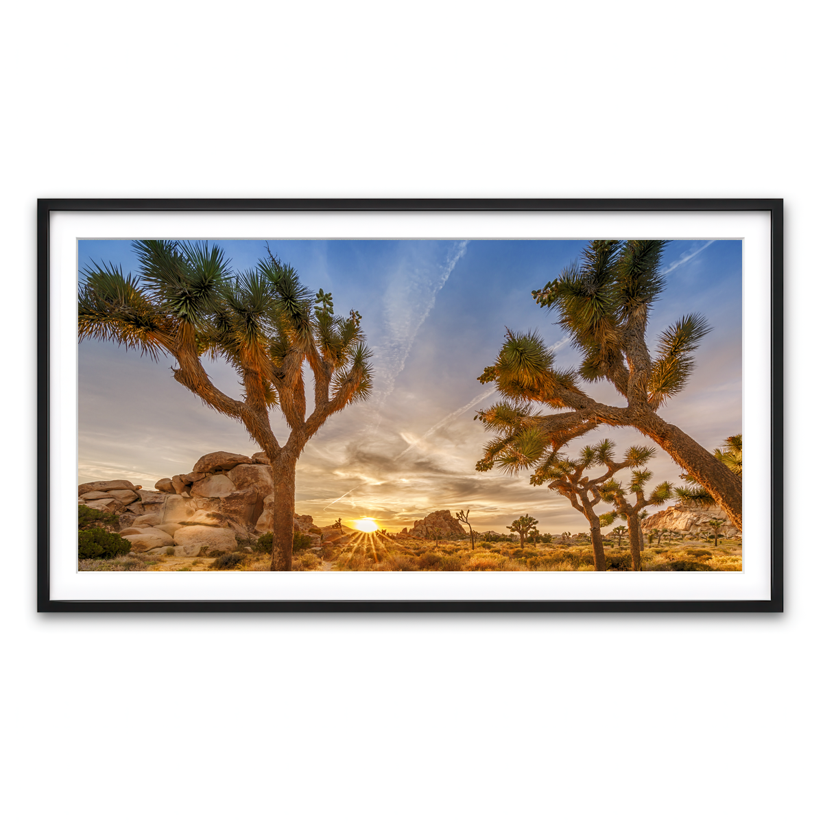 Sunset at Joshua Tree National Park Wall Art