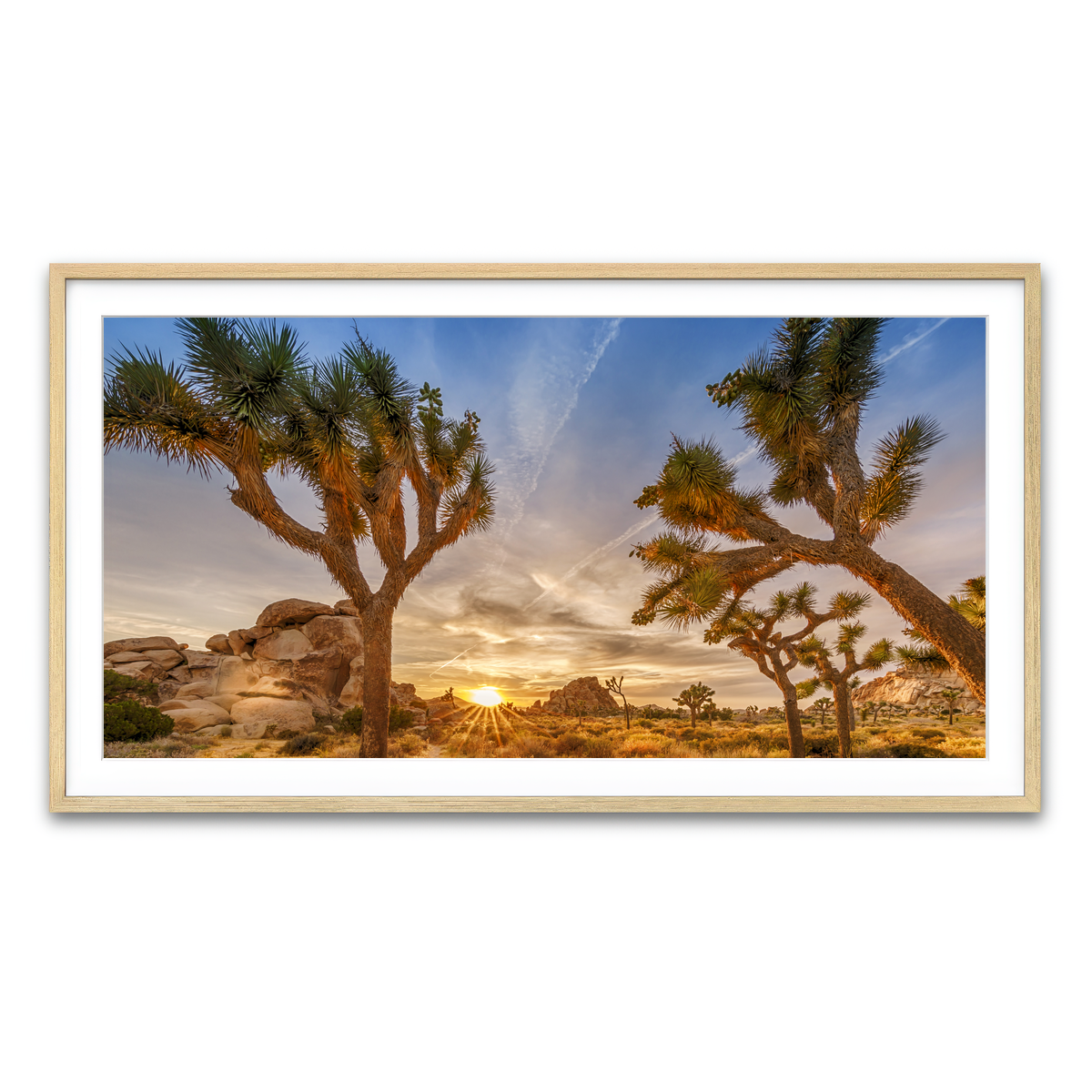 Sunset at Joshua Tree National Park Wall Art