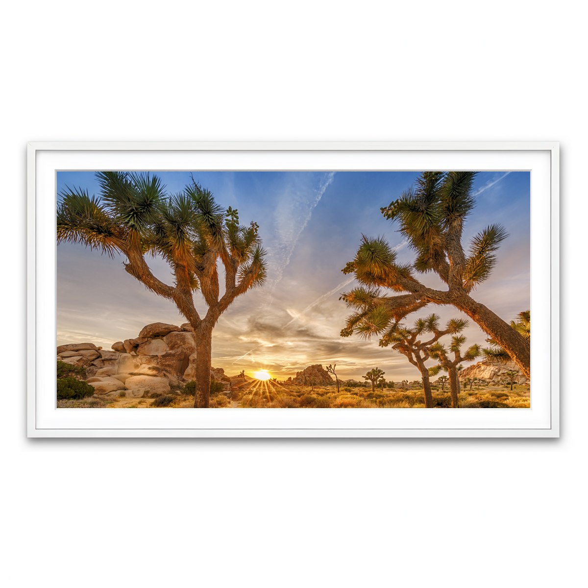Sunset at Joshua Tree National Park Wall Art