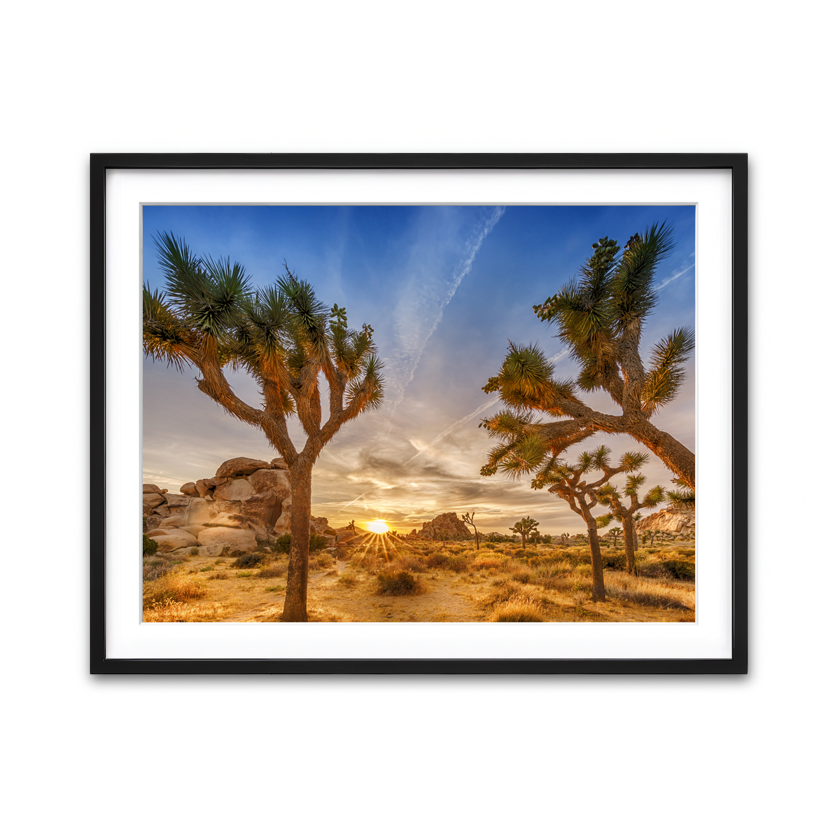 Sunset at Joshua Tree National Park Wall Art