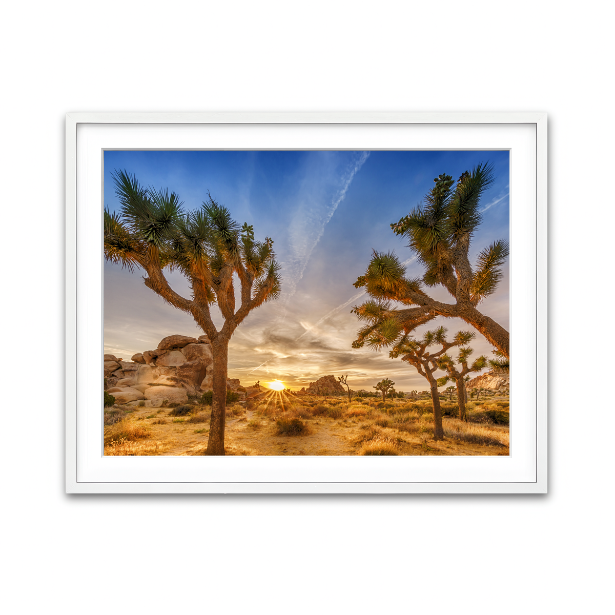 Sunset at Joshua Tree National Park Wall Art