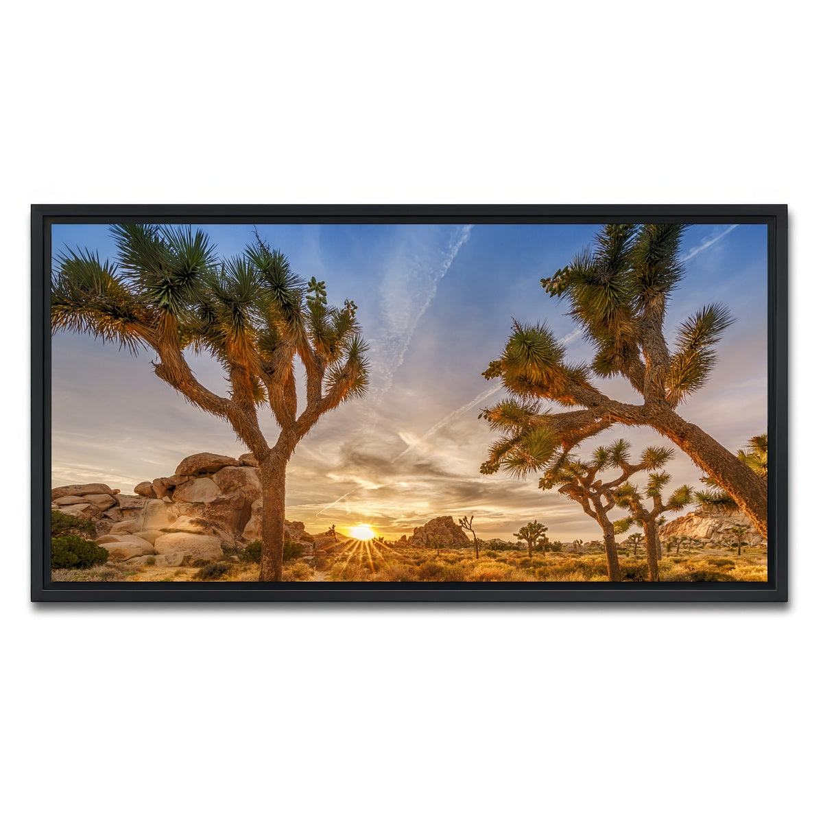 Sunset at Joshua Tree National Park Wall Art