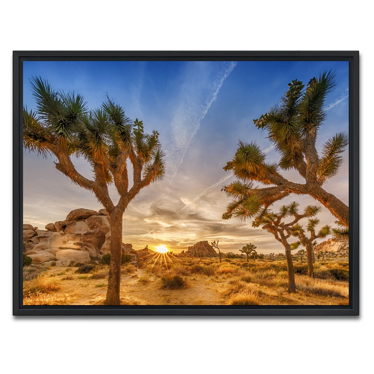 Sunset at Joshua Tree National Park Wall Art