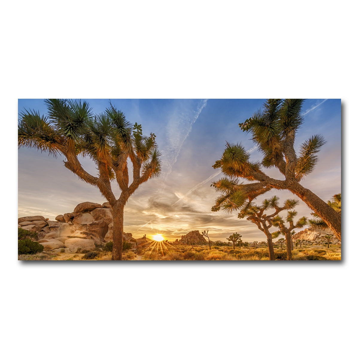 Sunset at Joshua Tree National Park Wall Art