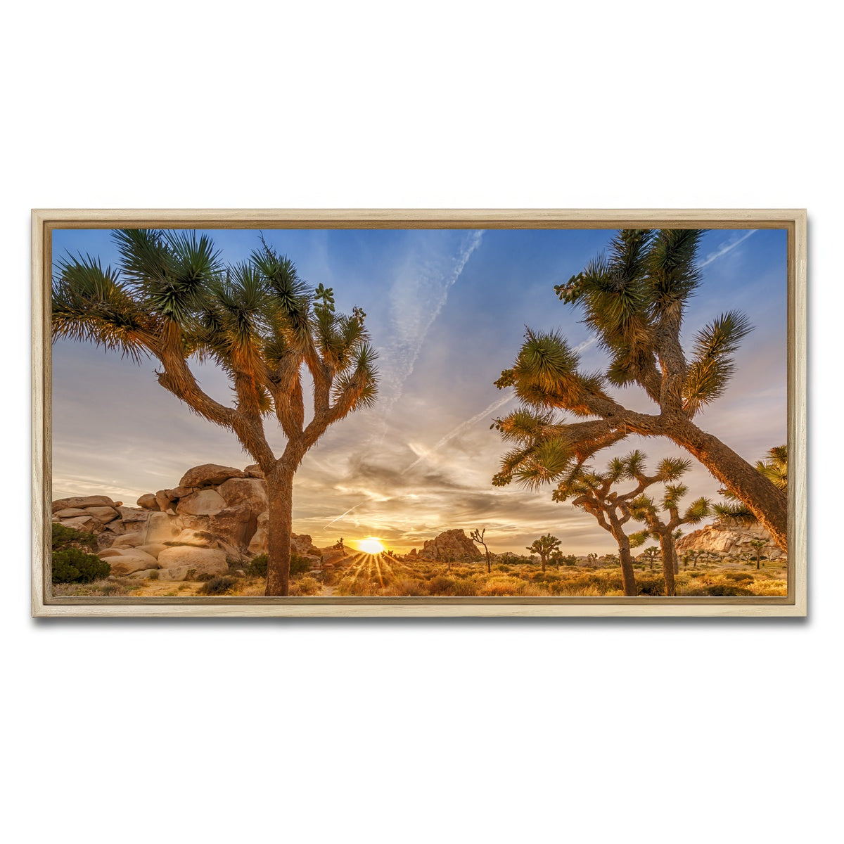 Sunset at Joshua Tree National Park Wall Art