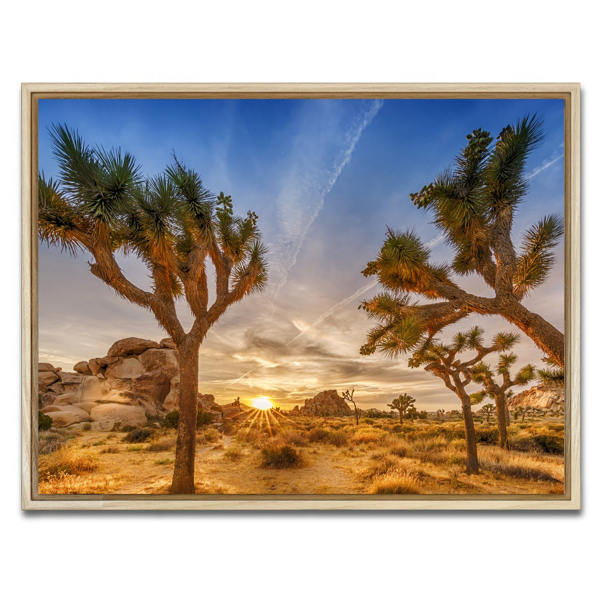 Sunset at Joshua Tree National Park Wall Art