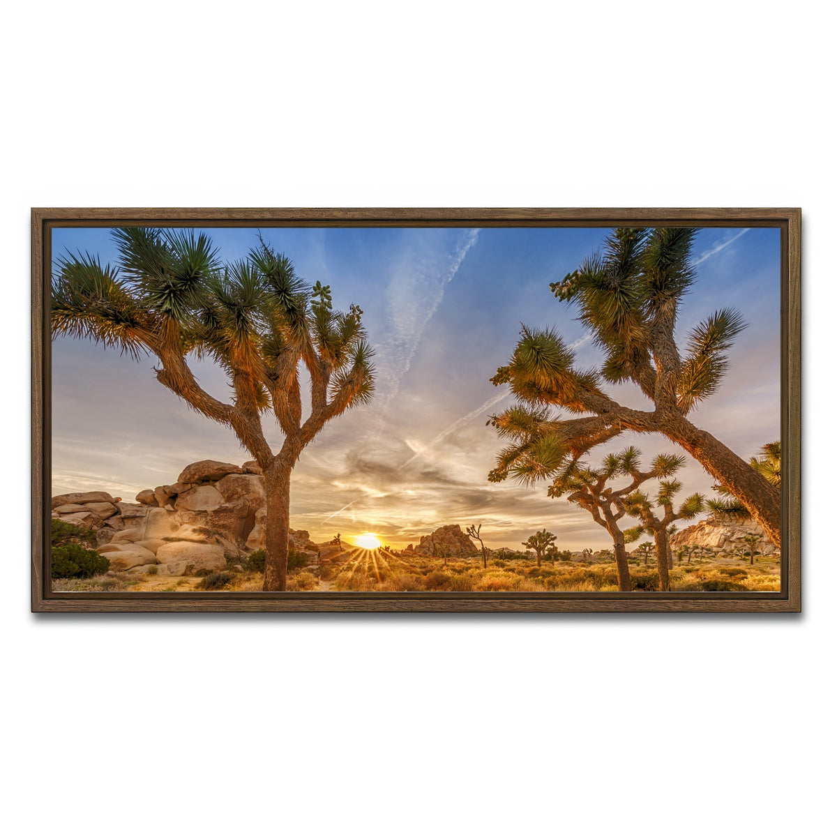 Sunset at Joshua Tree National Park Wall Art