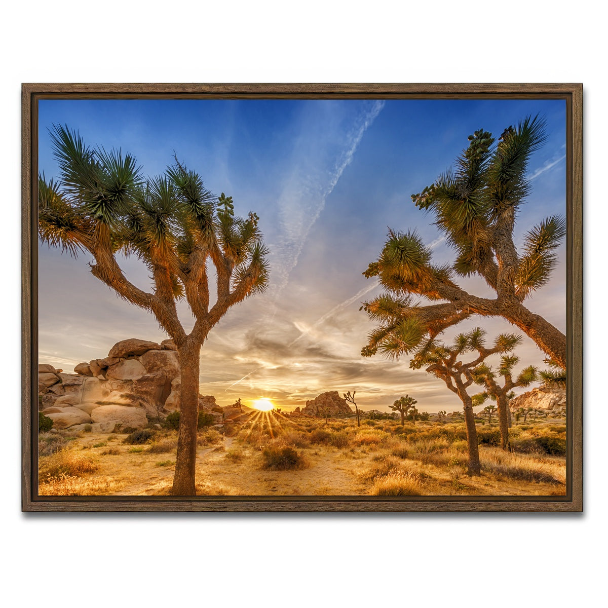 Sunset at Joshua Tree National Park Wall Art
