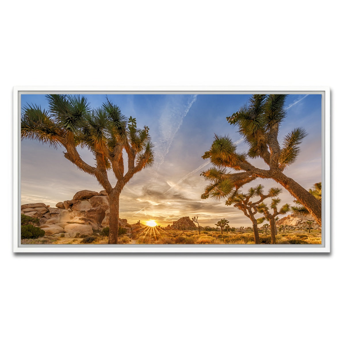 Sunset at Joshua Tree National Park Wall Art