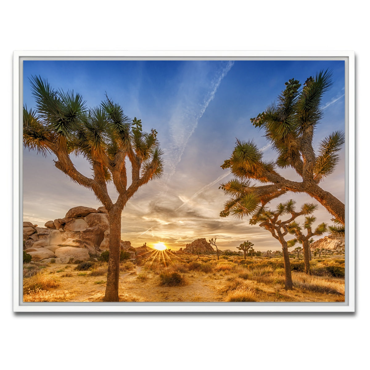 Sunset at Joshua Tree National Park Wall Art
