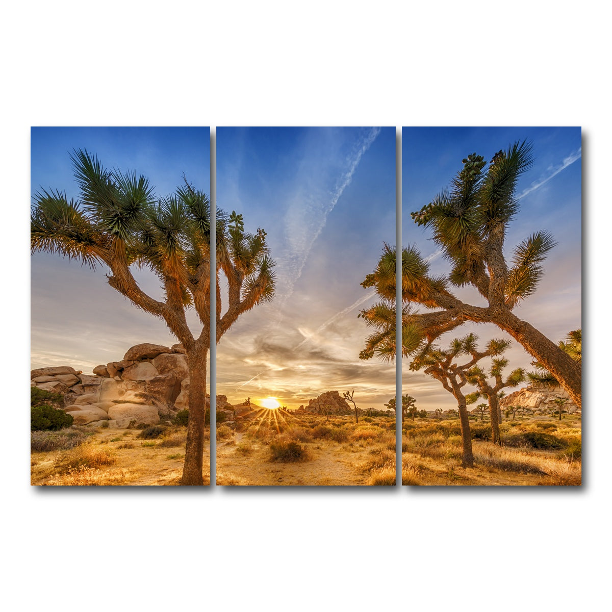Sunset at Joshua Tree National Park Wall Art