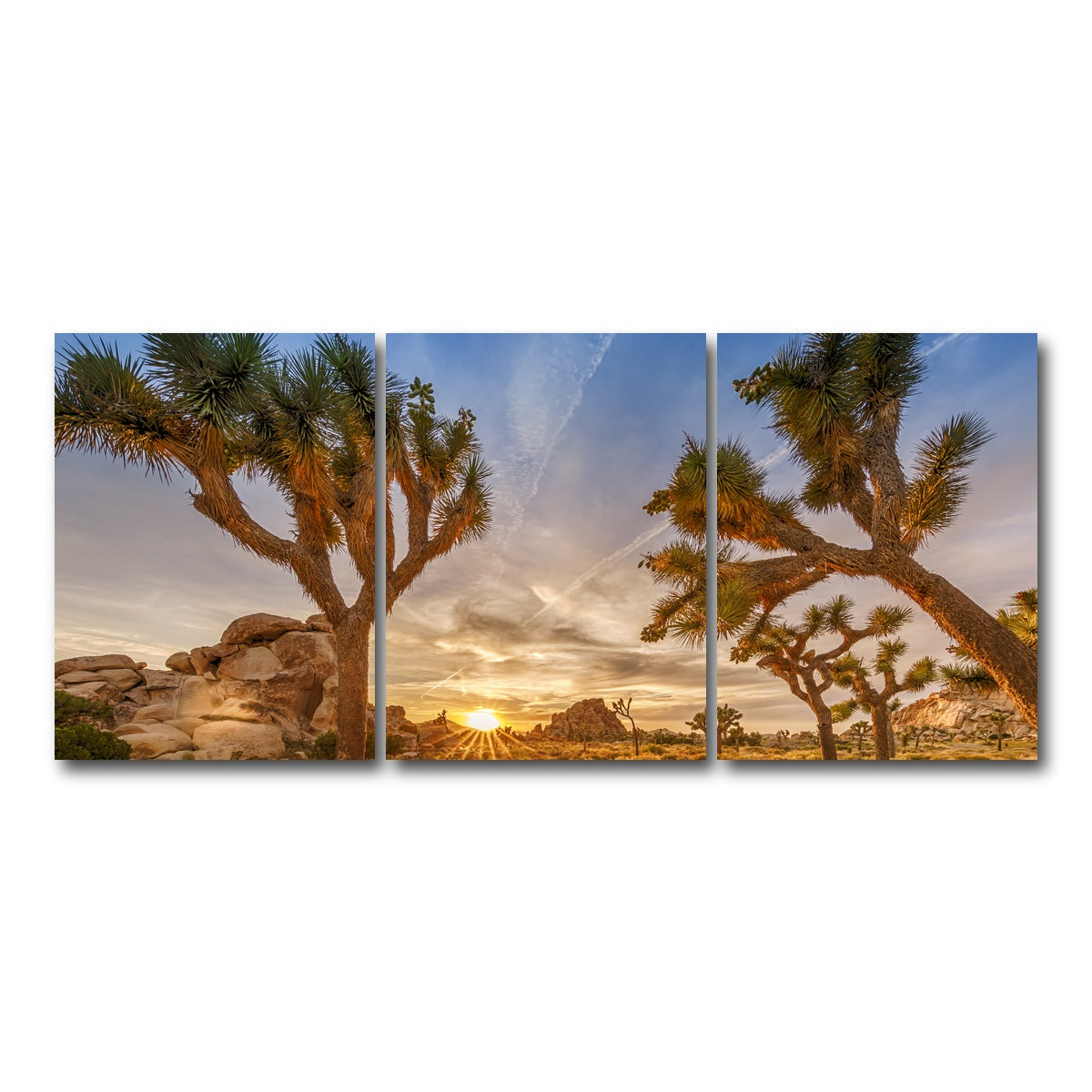 Sunset at Joshua Tree National Park Wall Art