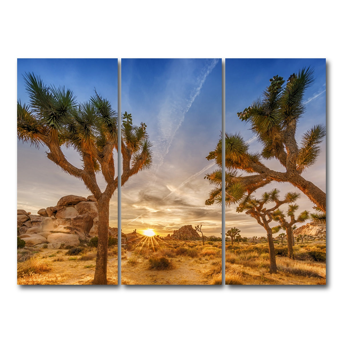 Sunset at Joshua Tree National Park Wall Art