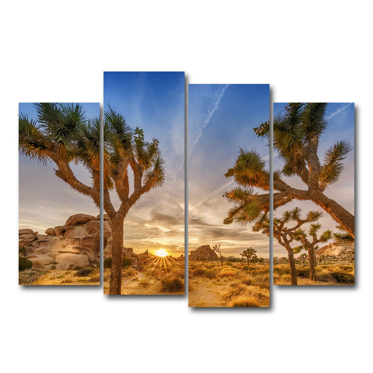 Sunset at Joshua Tree National Park Wall Art