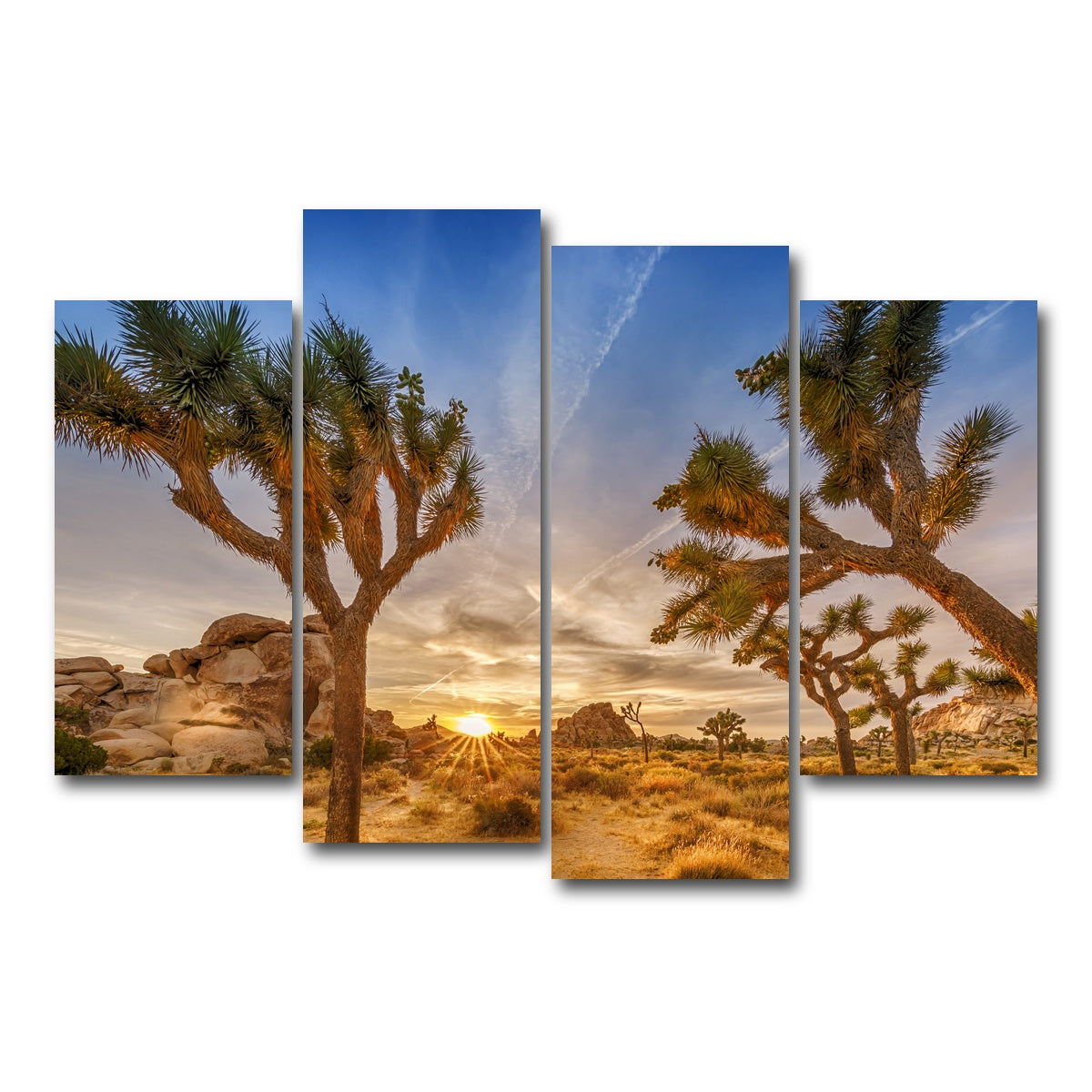Sunset at Joshua Tree National Park Wall Art