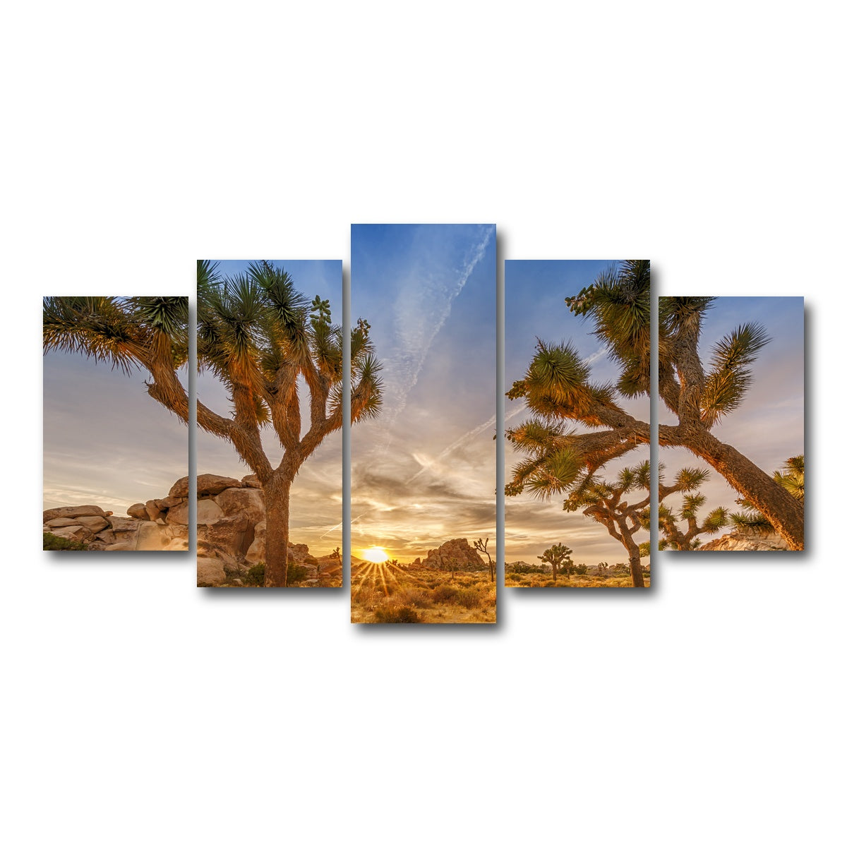 Sunset at Joshua Tree National Park Wall Art