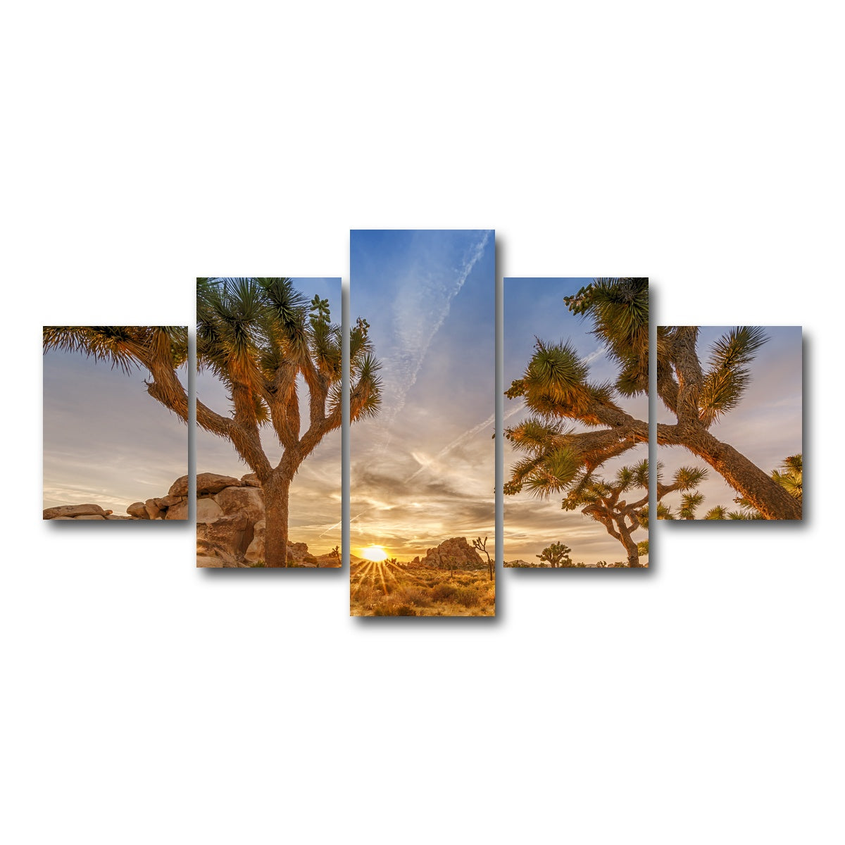 Sunset at Joshua Tree National Park Wall Art