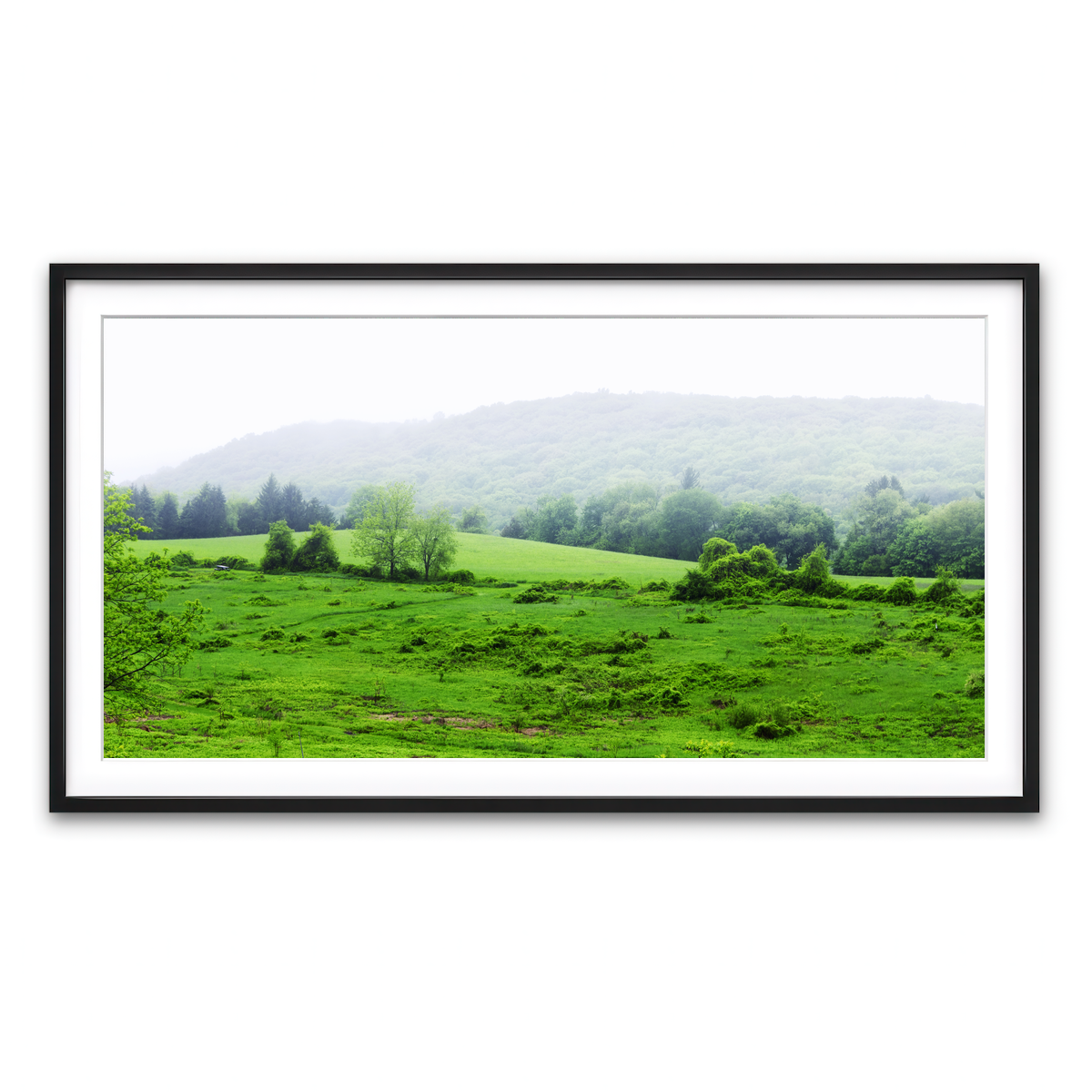 Framed Print 2x1 Black