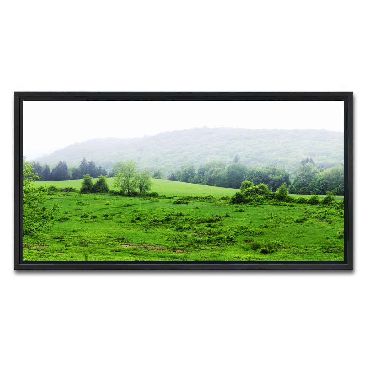 AUTO-MOCKUP WHITE | Tarrywile Park | 1 Piece | Black Framed Canvas | group=2x1