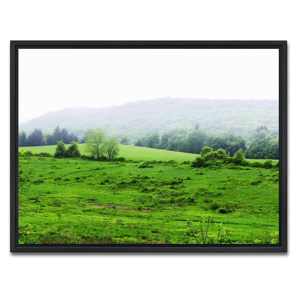 AUTO-MOCKUP WHITE | Tarrywile Park | 1 Piece | Black Framed Canvas | group=4x3
