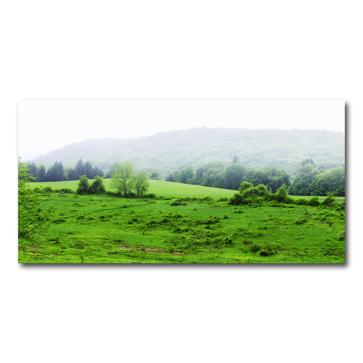 AUTO-MOCKUP WHITE | Tarrywile Park | 1 Piece | Gallery Wrap Canvas | group=2x1
