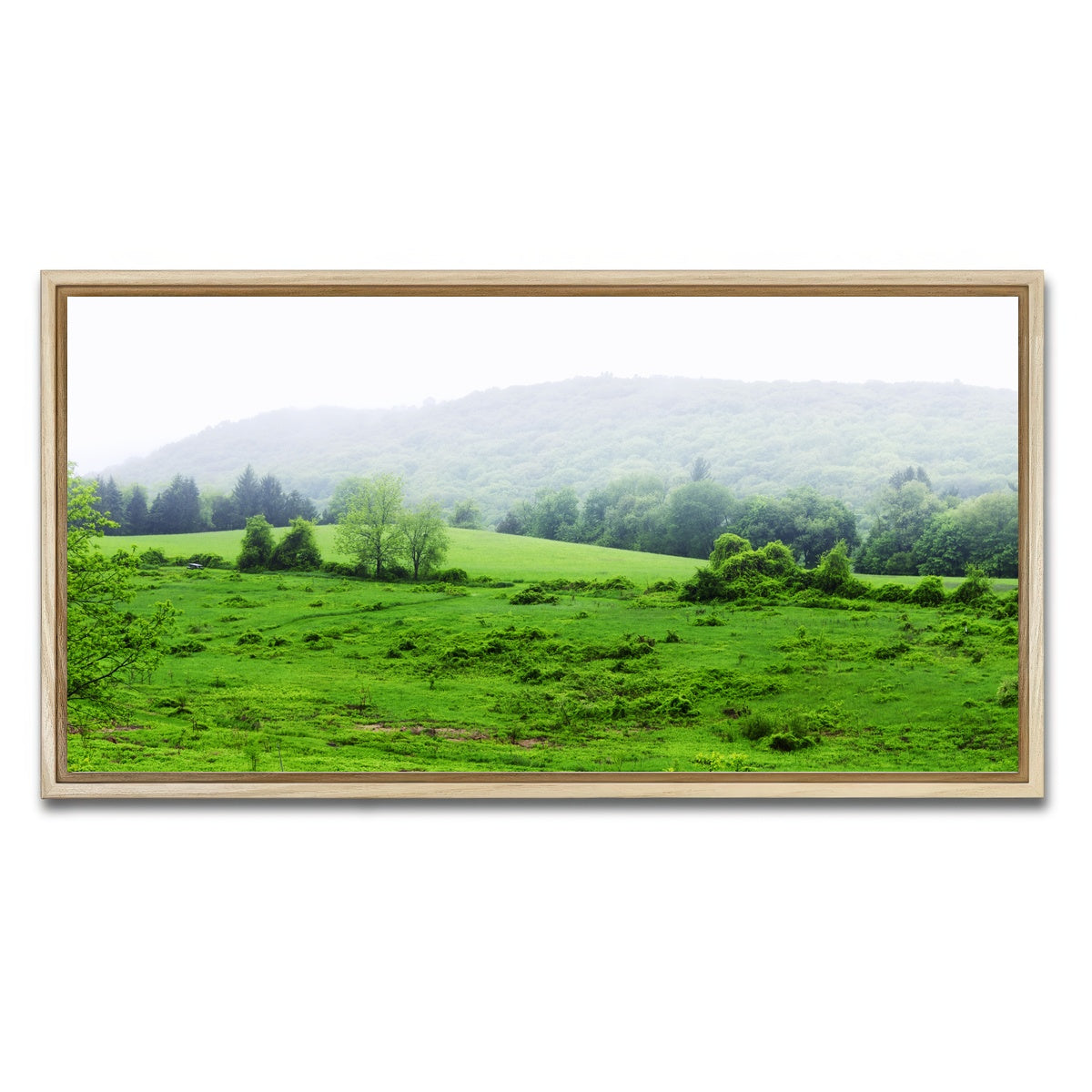 AUTO-MOCKUP WHITE | Tarrywile Park | 1 Piece | Natural Framed Canvas | group=2x1