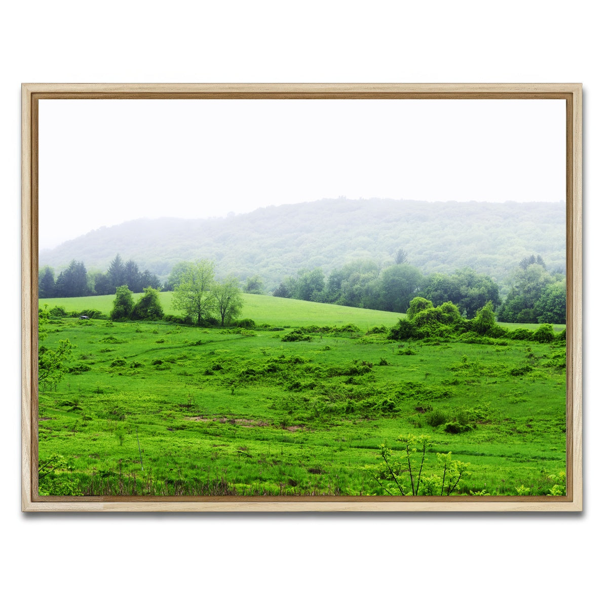 AUTO-MOCKUP WHITE | Tarrywile Park | 1 Piece | Natural Framed Canvas | group=4x3