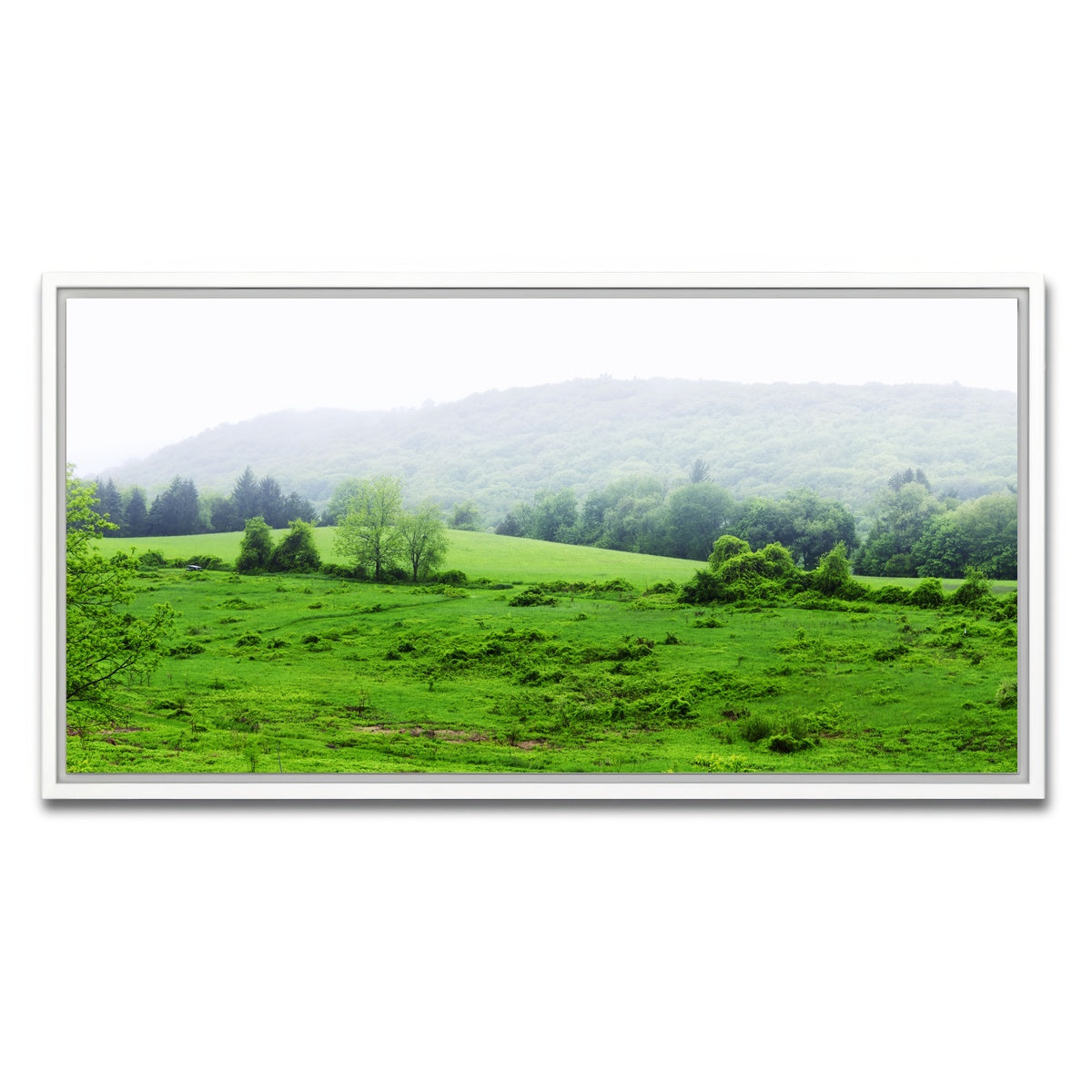 AUTO-MOCKUP WHITE | Tarrywile Park | 1 Piece | White Framed Canvas | group=2x1