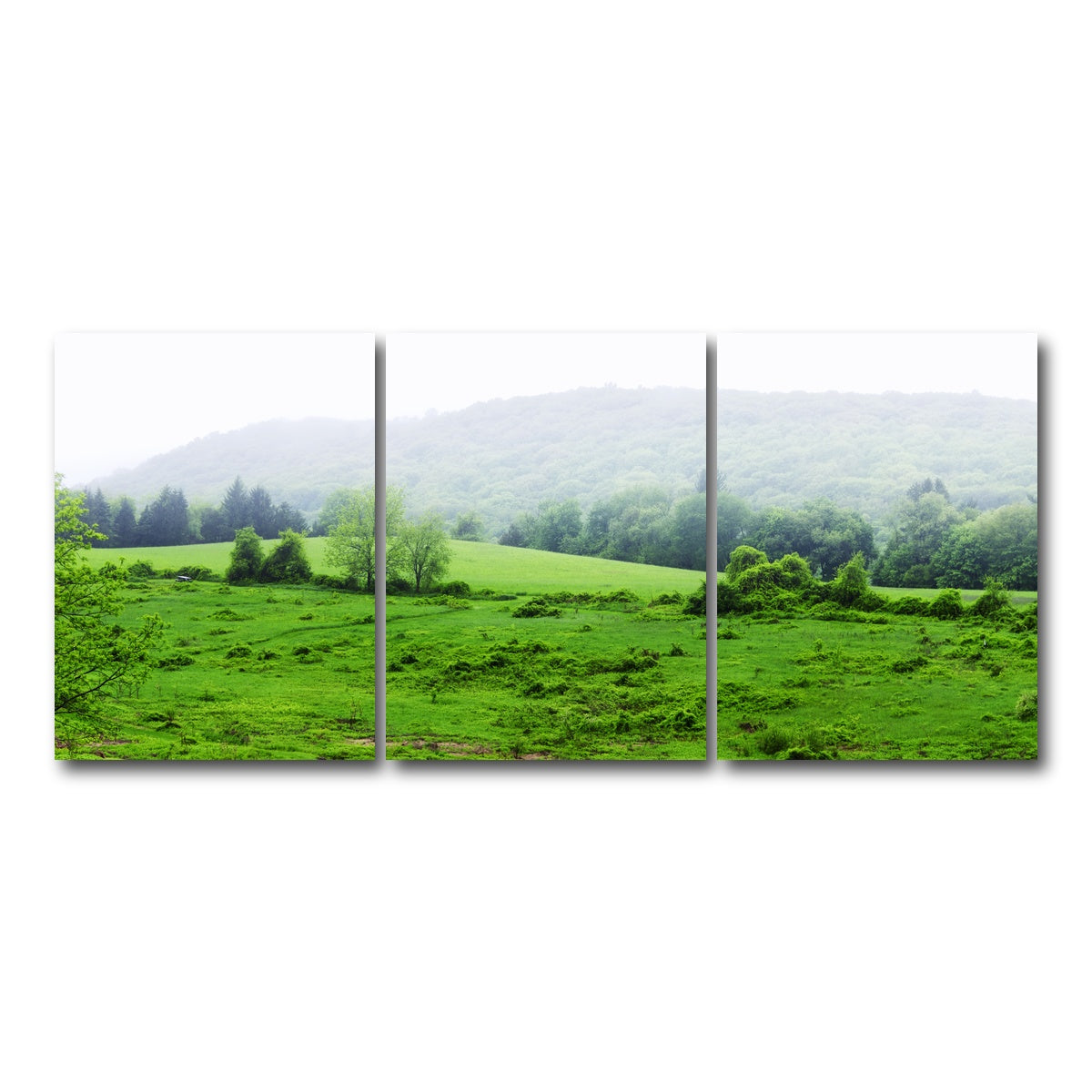 AUTO-MOCKUP WHITE | Tarrywile Park | 3 Piece | Gallery Wrap Canvas | group=18x24