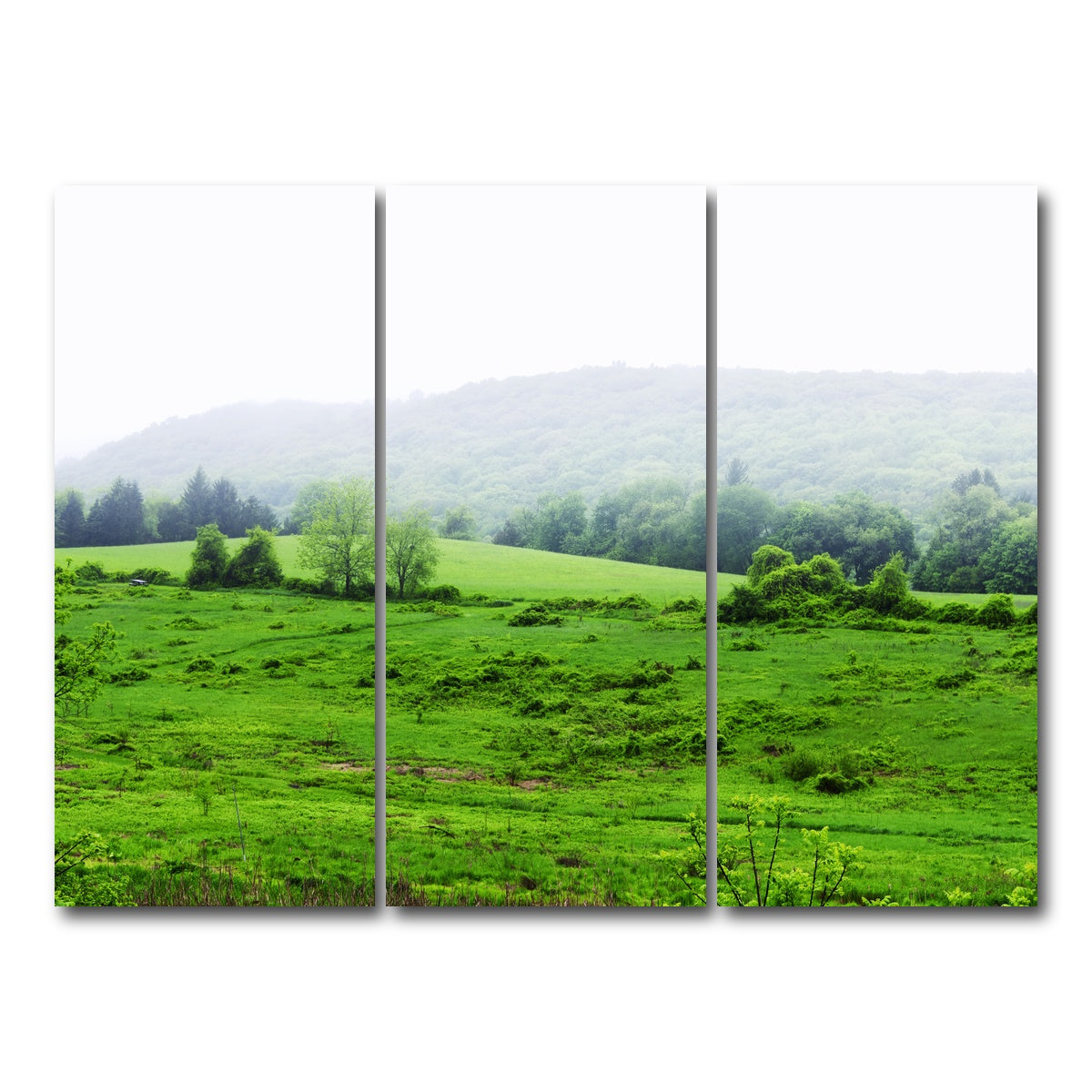 AUTO-MOCKUP WHITE | Tarrywile Park | 3 Piece | Gallery Wrap Canvas | group=8x18