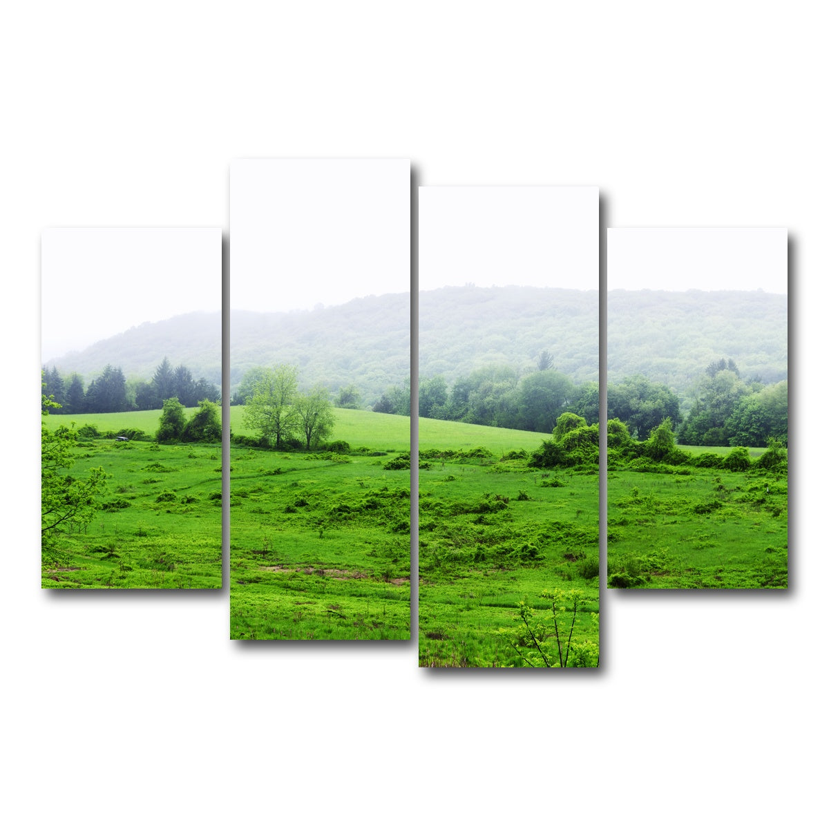 AUTO-MOCKUP WHITE | Tarrywile Park | 4 Piece | Gallery Wrap Canvas | group=4_short
