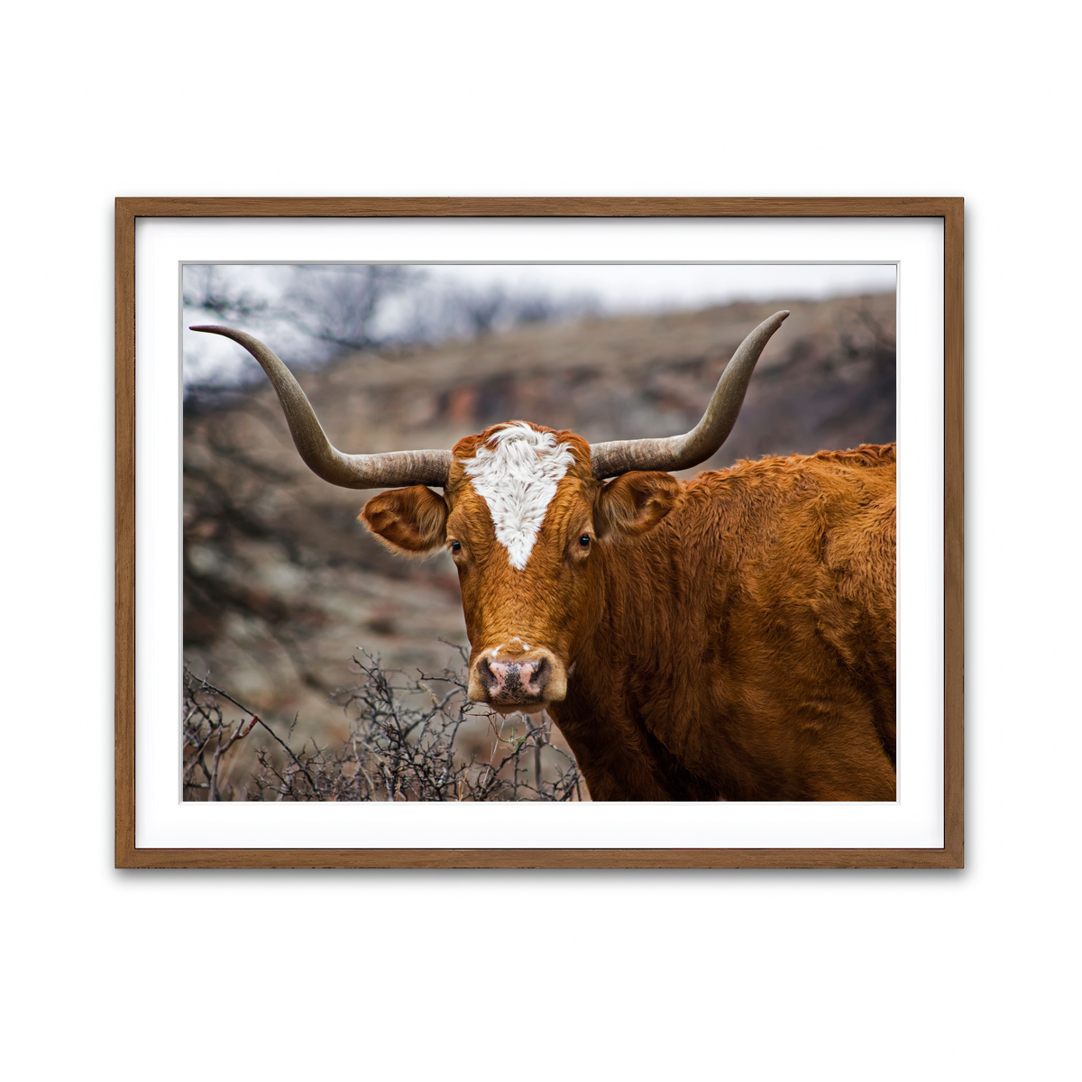 Framed Print 4x3 Walnut
