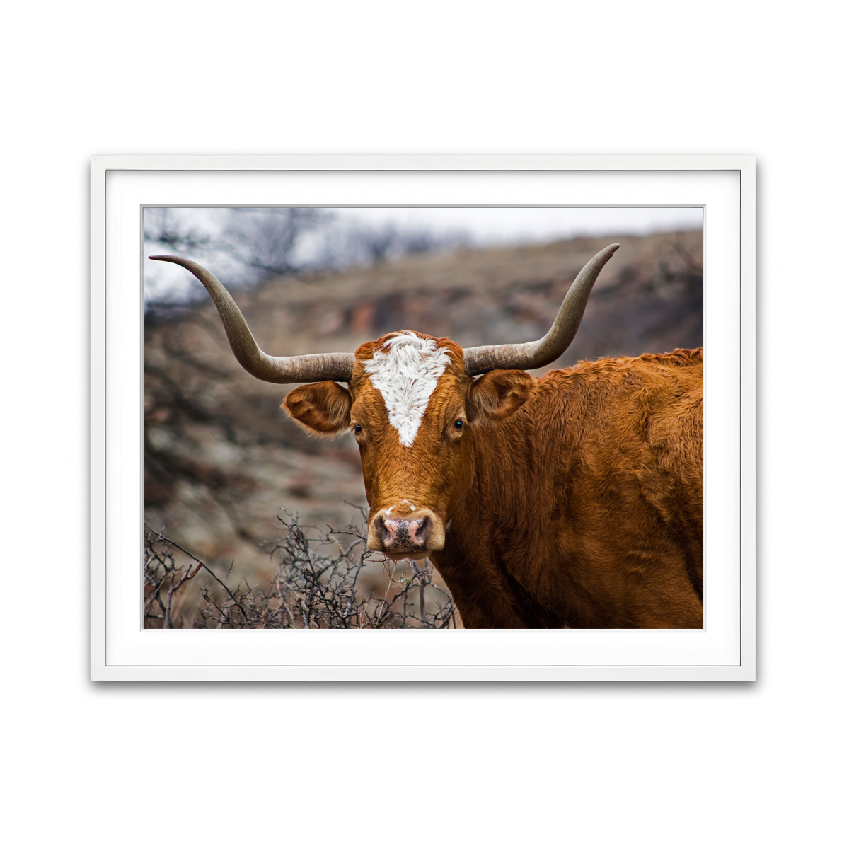 Framed Print 4x3 White