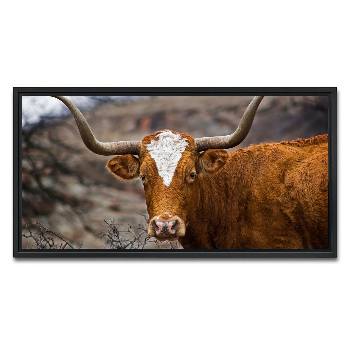 AUTO-MOCKUP WHITE | Texas Longhorn | 1 Piece | Black Framed Canvas | group=2x1