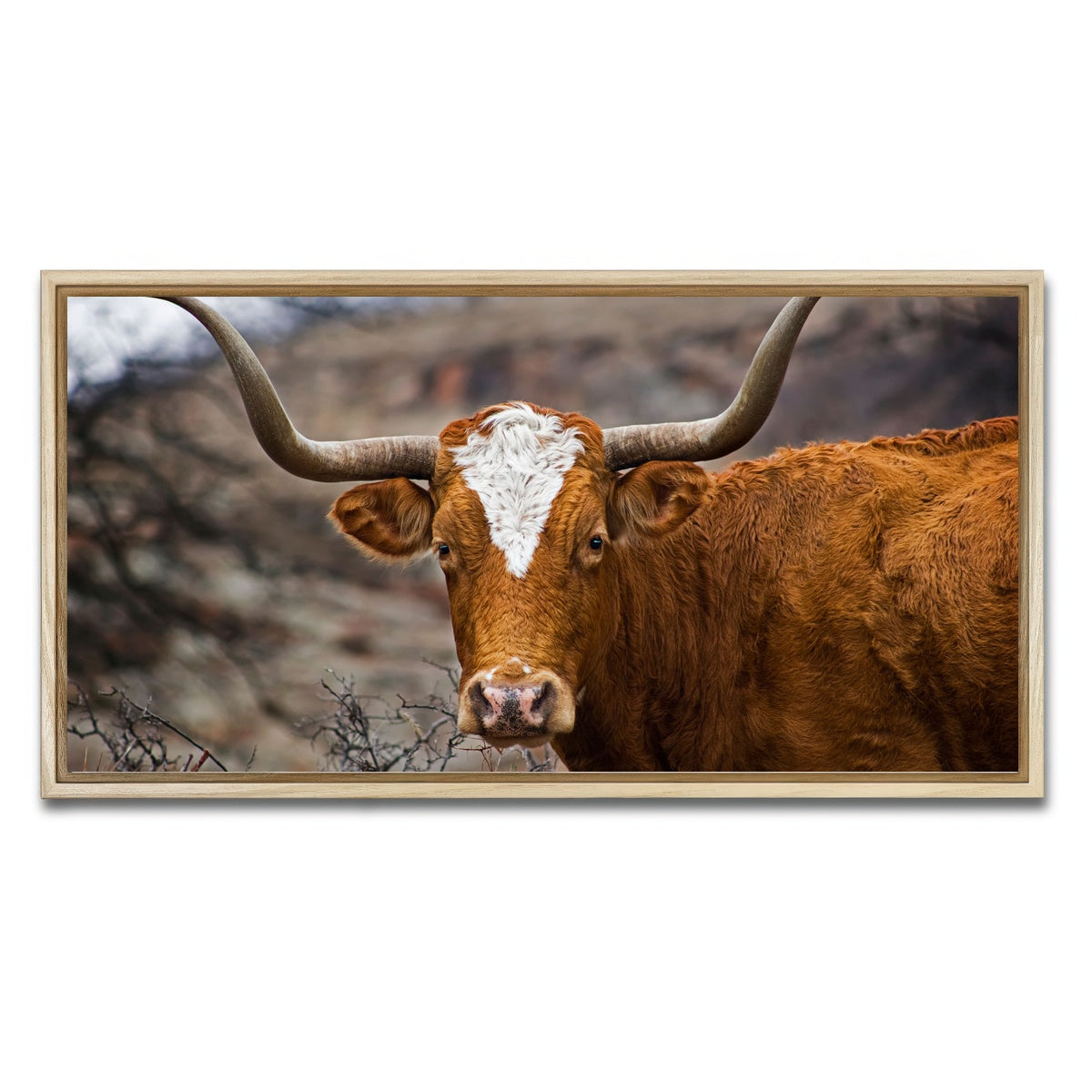 AUTO-MOCKUP WHITE | Texas Longhorn | 1 Piece | Natural Framed Canvas | group=2x1