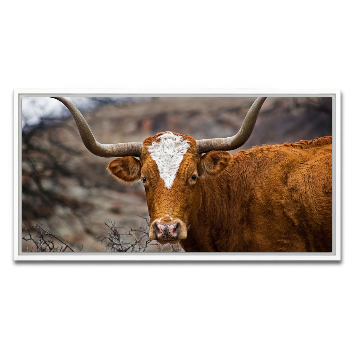 AUTO-MOCKUP WHITE | Texas Longhorn | 1 Piece | White Framed Canvas | group=2x1