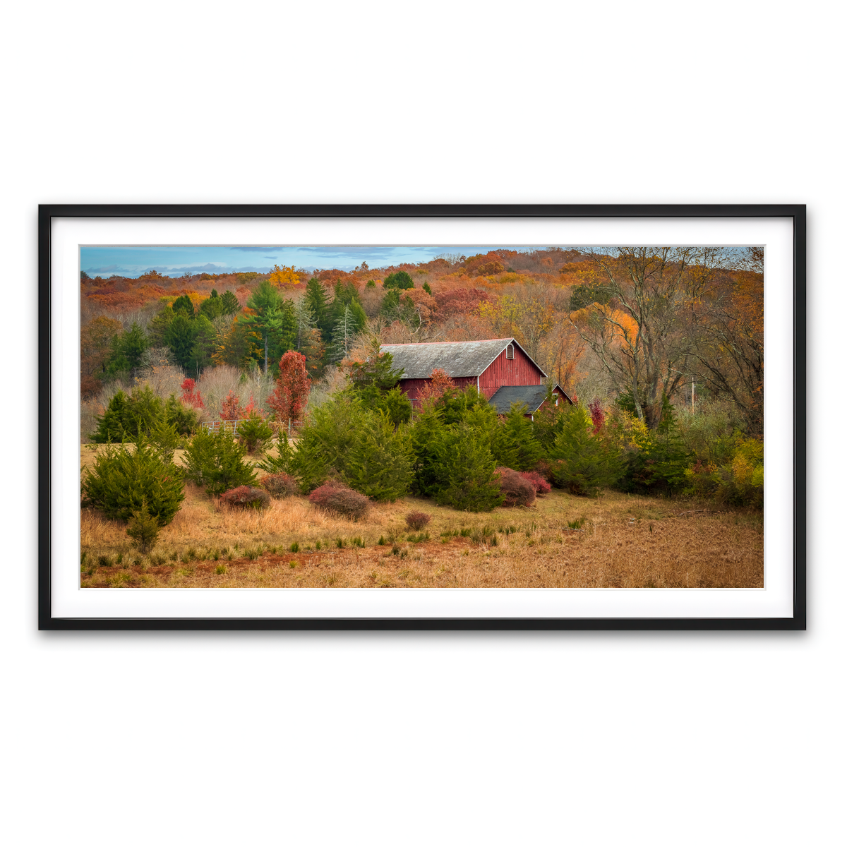 Framed Print 2x1 Black