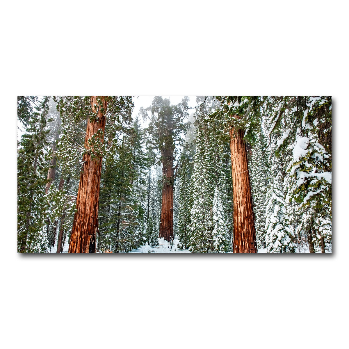 The General Wall Art