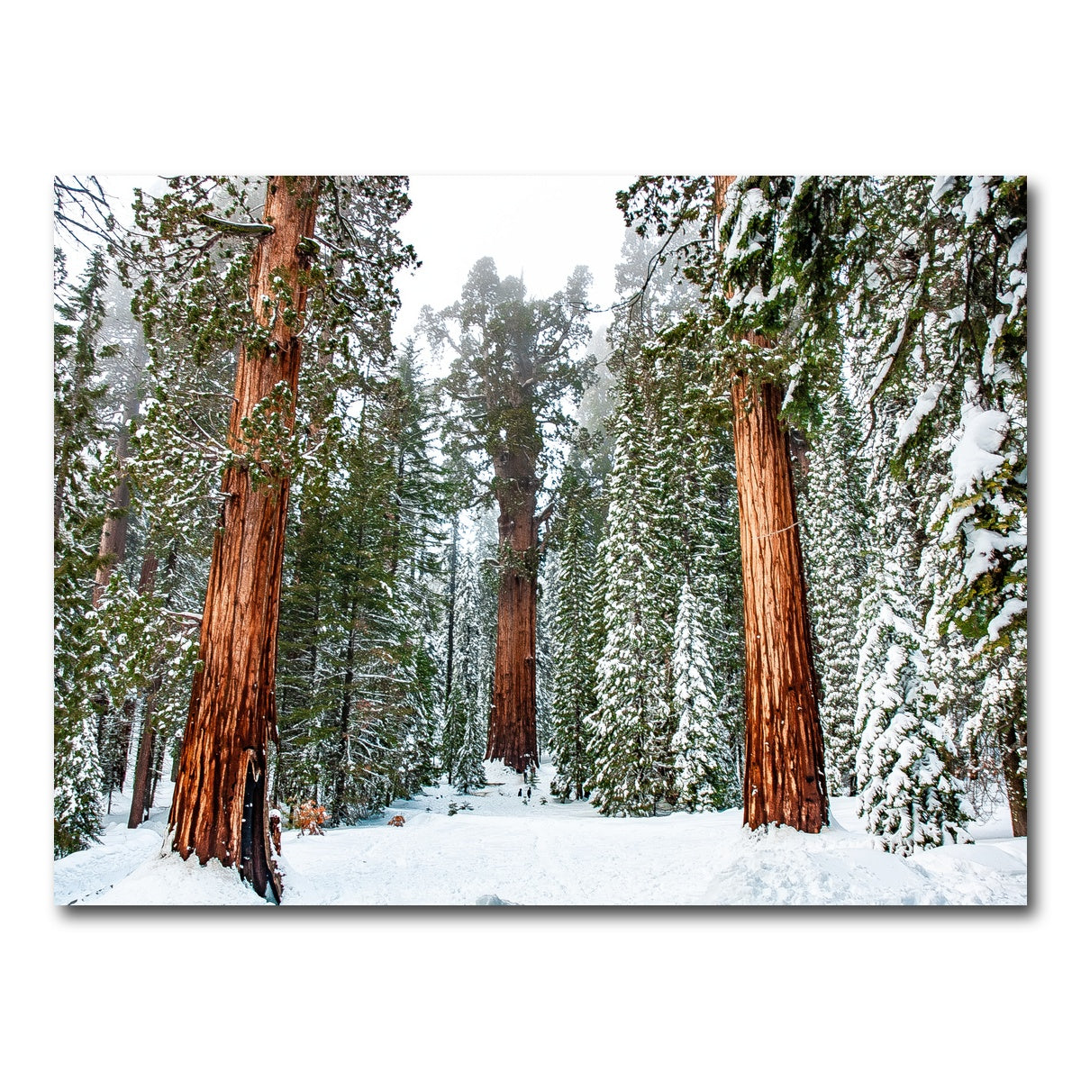 The General Wall Art